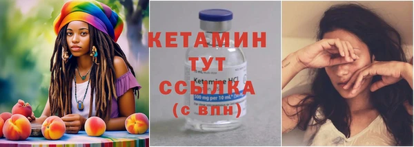 соль ск Новозыбков