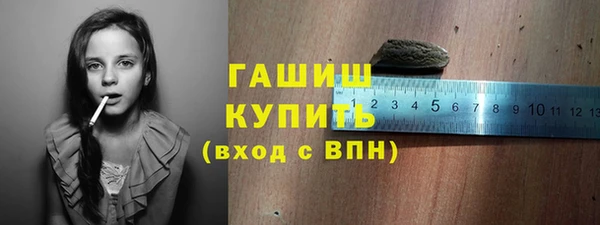 соль ск Новозыбков