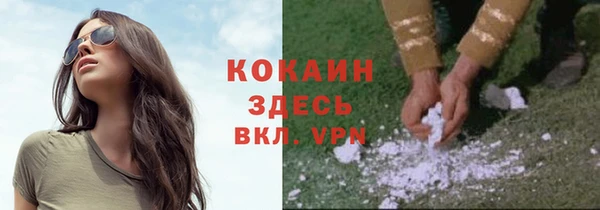 соль ск Новозыбков