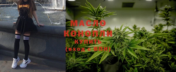 соль ск Новозыбков