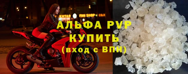 соль ск Новозыбков