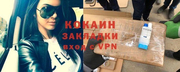 соль ск Новозыбков